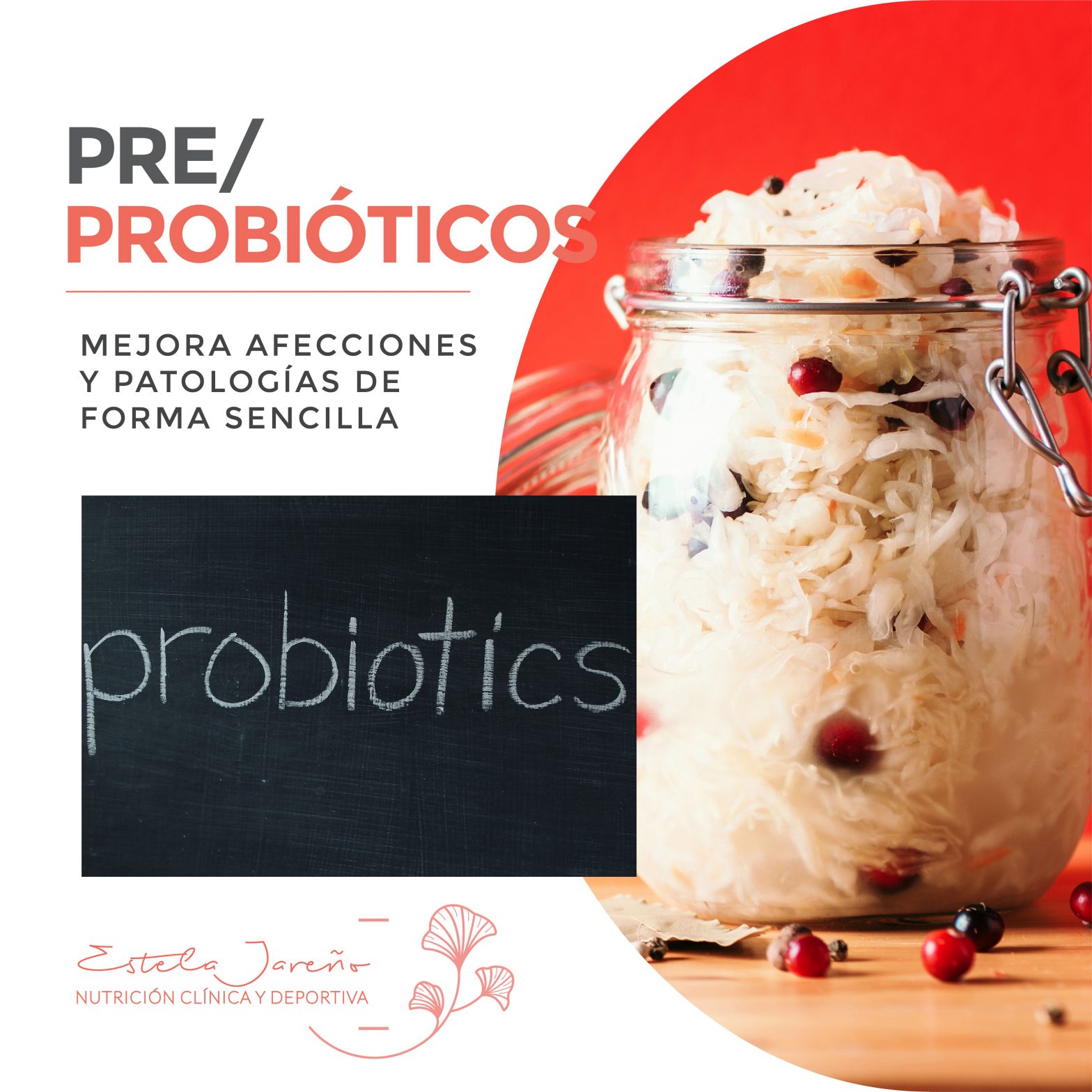 pre y probióticos